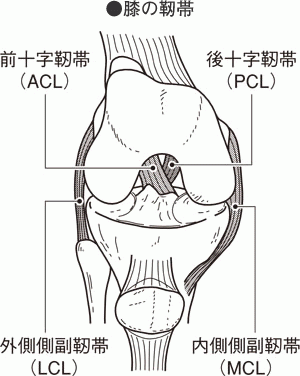 膝関節内側側副靭帯損傷について